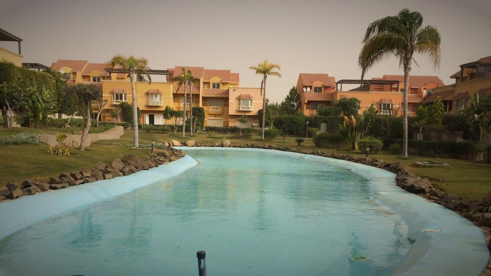 Landscaped lake with palm trees, lawn and gardens at Beverly Hills, Sheikh Zayed