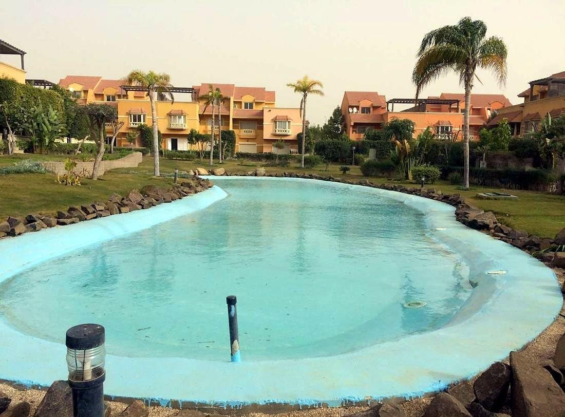 Artificial lake at Beverly Hills with palms and villas