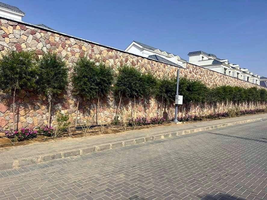 Trees planted along a stone wall and paved lane at Mountain View iCity