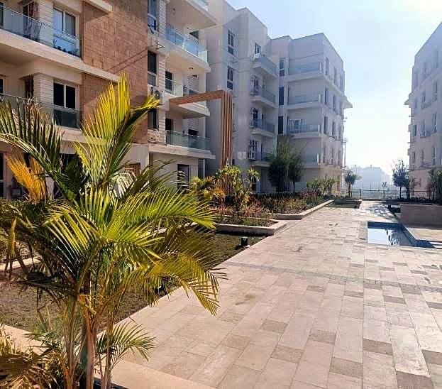 Palms and a paved garden walkway at Mountain View iCity October